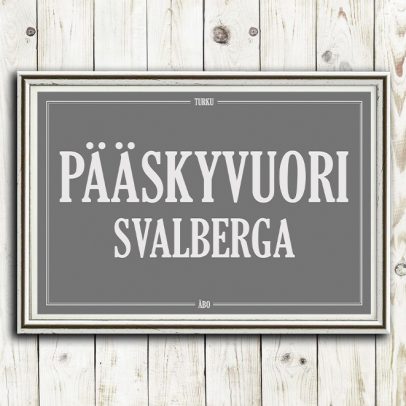 Turku: Pääskyvuori
