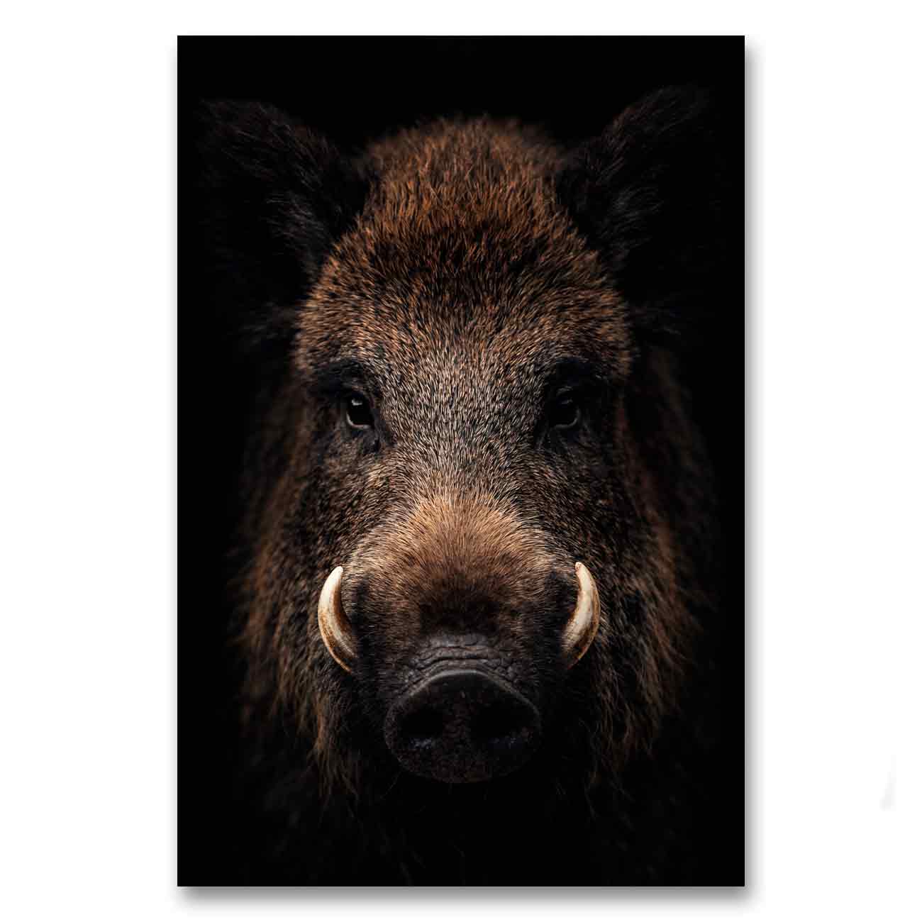 Metsän eläimet villisika LÖ 2-2