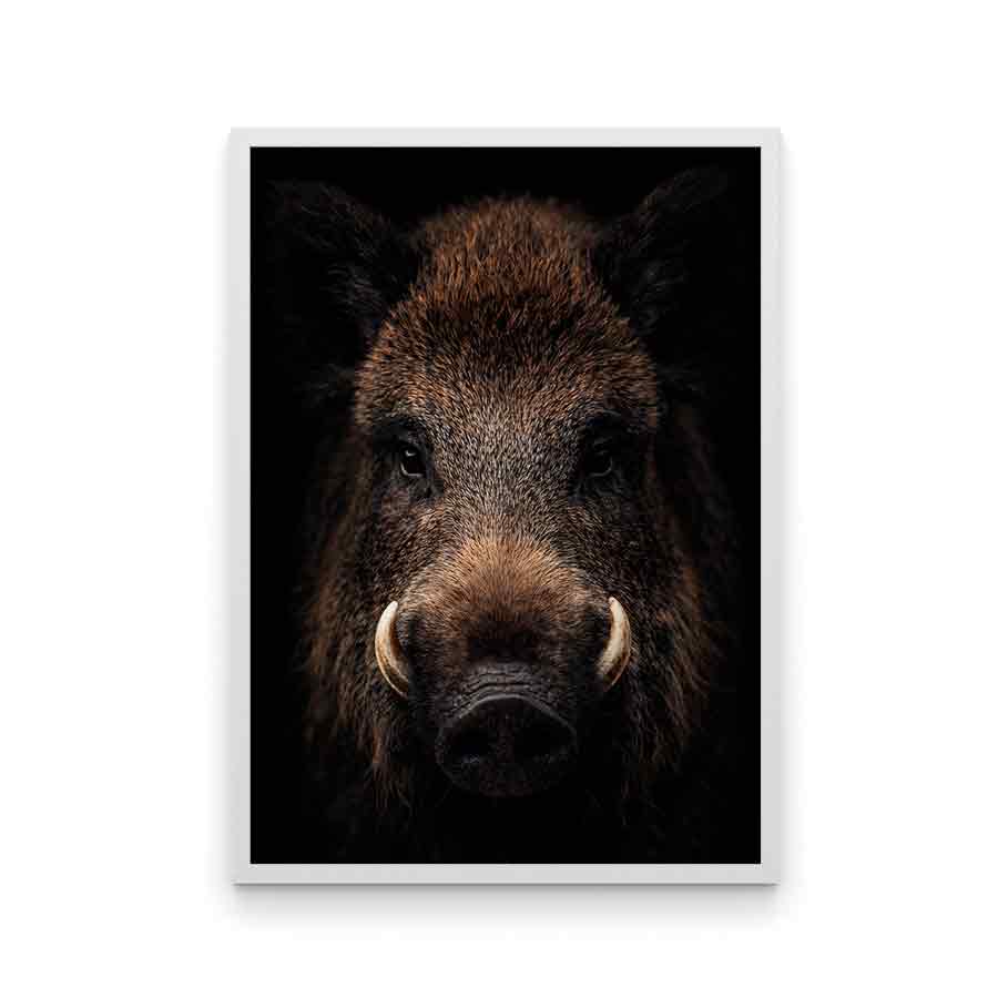 Metsän eläimet villisika LÖ 2-3