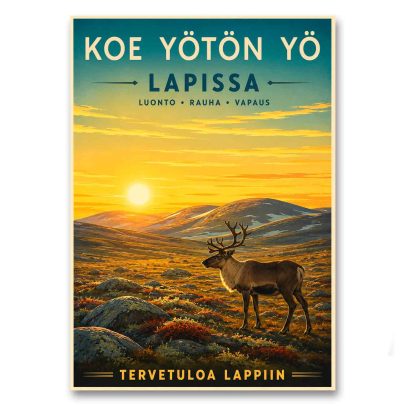 Juliste Koe yötön yö Lapissa
